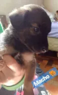BEBÊS P ADOÇÃO!