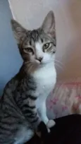 Duke