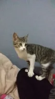 Duke