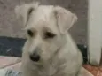 Mel
