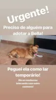 Bella