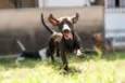 Lupita