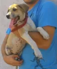 Layka