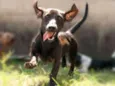Lupita