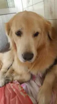 Bruce