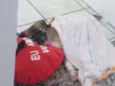 Lilo