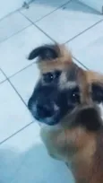 Lilo