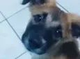 Lilo