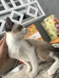 Nick
