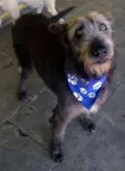 Tom