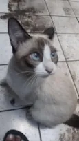 Mel