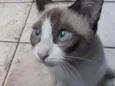 Mel