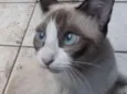 Mel