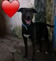 Negão
