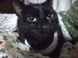 Elvira
