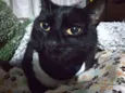 Elvira