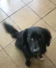 Lili