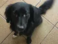Lili
