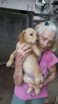 Filhotes para adoção