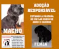 Sem nomes ainda