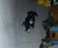 Huanna