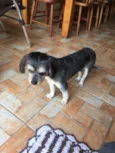 Desconhcido