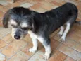 Desconhcido