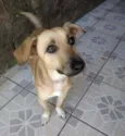 Penelope