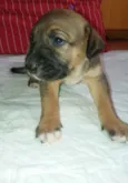 LILI