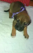 LILI
