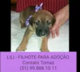LILI