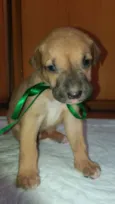 LUCKY
