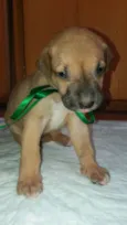 LUCKY