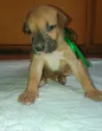LUCKY