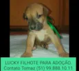 LUCKY