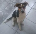 Holly 