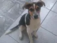 Holly 