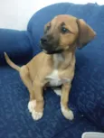 Zézé
