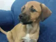 Zézé