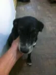 Preta
