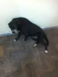 Preta