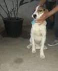 Romeu