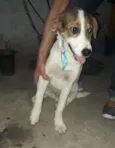 Romeu