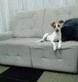 Julie