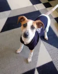 Julie