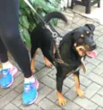 Lena 