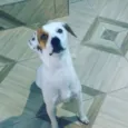 Marley