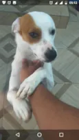 Marley