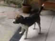 Boris