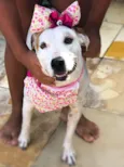 Lola 